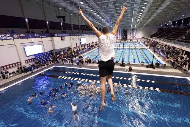 Florida's Dillon Hillis jumps off the 5-meter platform while celebrating the team's championship at the Southeastern Conference swimming and diving championships in College Station, Texas, Saturday, February 18, 2023. (Photo by Logan Hannigan-Downs/College Station Eagle via AP Photo)