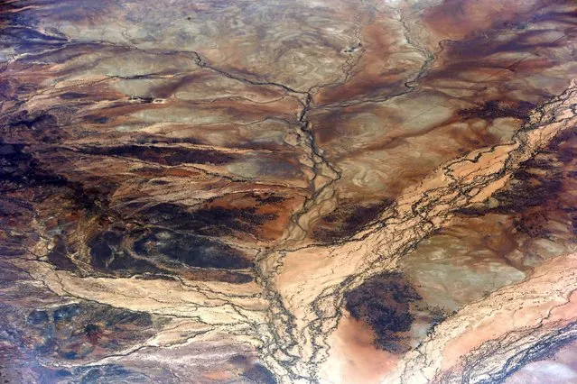 An aerial view of a river system in Australia's Northern Territory November 23, 2014. (Photo by David Gray/Reuters)