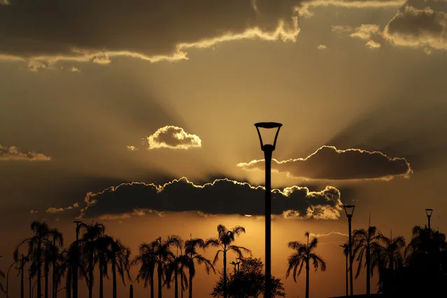 Palm trees in City Park are silhouetted at dusk after temperatures peaked at 40 degrees Celsius, or 100.4 degrees Fahrenheit, in Brasilia, Brazil, Tuesday, October 6, 2020. (Photo by Eraldo Peres/AP Photo)