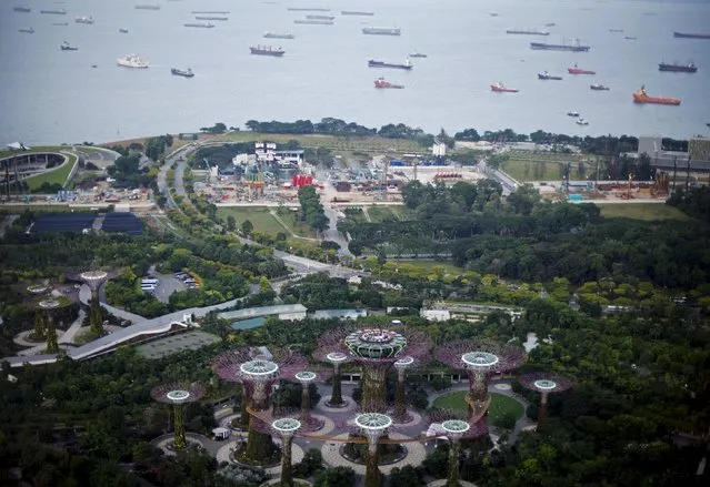 Ships pass by the man-made coastline of Singapore, July 16, 2015. (Photo by Edgar Su/Reuters)