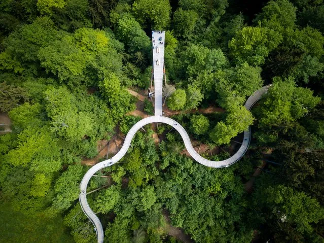 View on the first and only tree top nature trail in Mogelsberg, Switzerland, 11 May 2018. The trail is 500 meters long and leads on different hights through the forest reaching 50 meters above ground the visitors have a spectacular view on the tree tops. (Photo by Gian Ehrenzeller/EPA/EFE/Rex Features/Shutterstock)