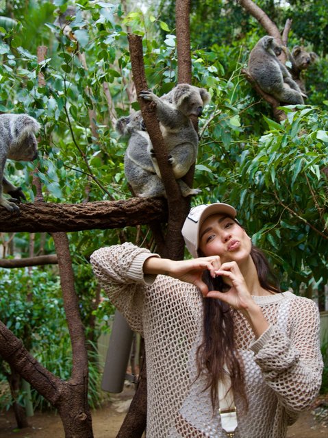 American actress Jessica Alba meets some koalas while visiting the Currumbin Wildlife Sanctuary in Australia on November 13, 2025. (Photo by jessicaalba/Instagram)