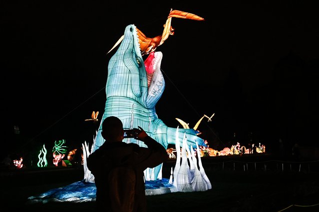 A visitor takes a picture of illuminated sculptures on display at the Festival de lumiere “Light festival” at Paris Jardin des Plantes in Paris, France, 15 November 2024. Festival de lumiere “Light festival” runs in Paris from 20 November 2024 to 19 January 2025. (Photo by Mohammed Badra/EPA/EFE)