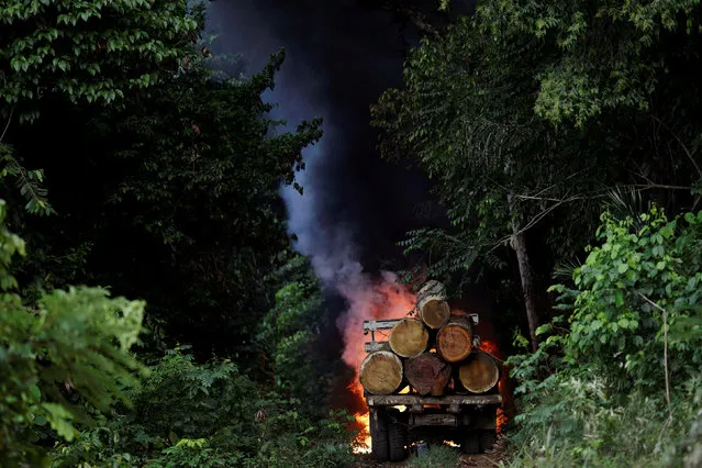 Trucks loaded with tree trunks are burned by agents of the Brazilian Institute for the Environment and Renewable Natural Resources, or Ibama, during an operation to combat illegal mining and logging, in the municipality of Novo Progresso, Para State, northern Brazil, November 11, 2016. (Photo by Ueslei Marcelino/Reuters)