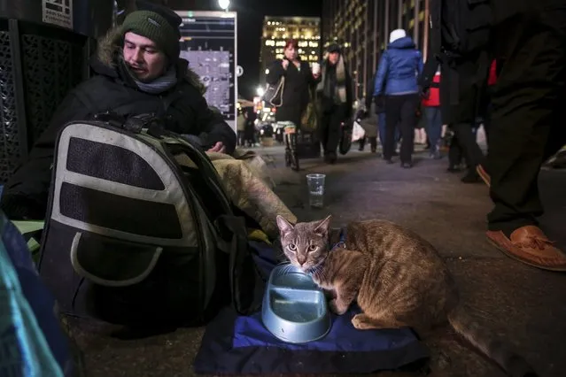 Keith Rosario sits with his cat Storm as he panhandles on the street outside Pennsylvania Station in the Manhattan borough of New York, January 5, 2016. (Photo by Carlo Allegri/Reuters)