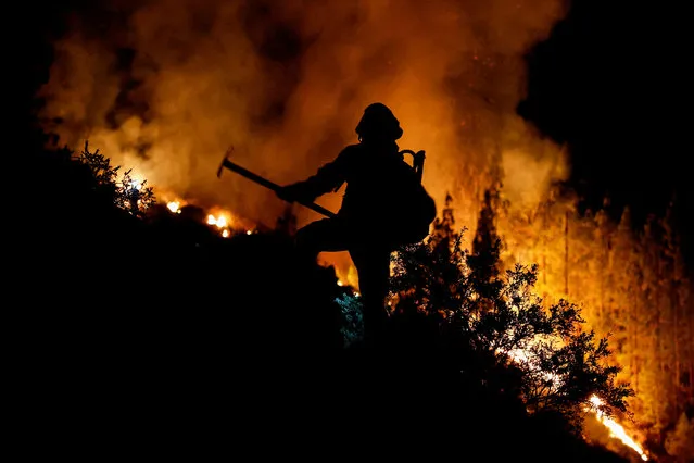 EIRIF forest firefighters work during the extinction of the forest fire in Arafo on the island of Tenerife, Canary Islands, Spain on August 16, 2023. (Photo by Borja Suarez/Reuters)