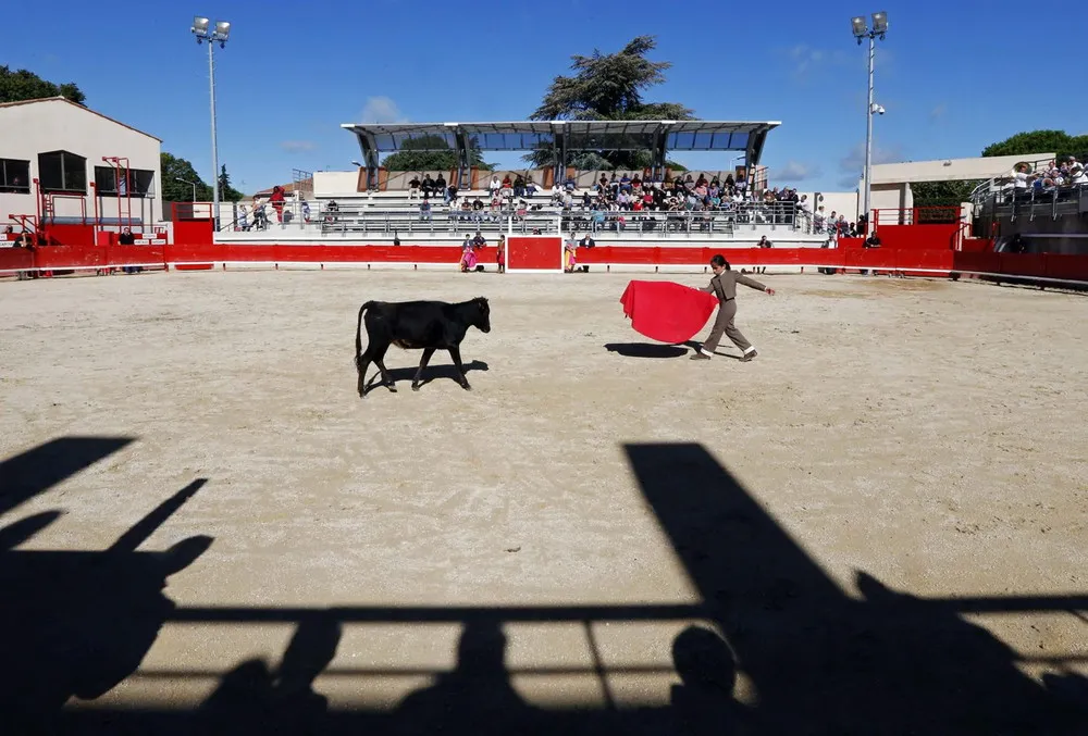 France’s Boy Bullfighters