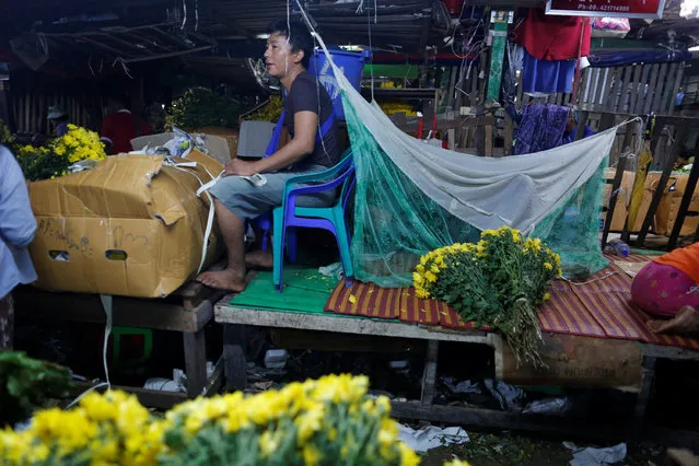 A man sells flowers as his family member sleeps in a mosquito net at a night market in Yangon, Myanmar November 18, 2016. (Photo by Soe Zeya Tun/Reuters)