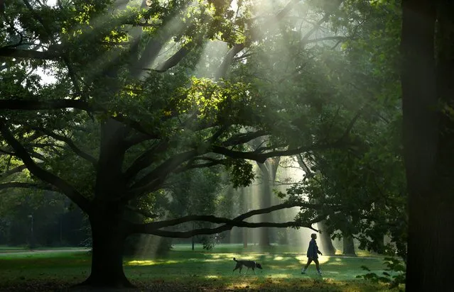 A woman makes her way with a dog during morning fog while the sun shines through trees at Tiergarten Park in Berlin, Germany on September 27, 2023. (Photo by Fabrizio Bensch/Reuters)