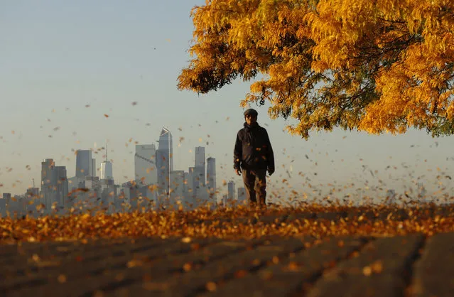 A man walks along a walkway covered in fall foliage in front of Hudson Yards and One World Trade Center in New York City as the sun rises on October 28, 2023, in Edgewater, New Jersey. (Photo by Gary Hershorn/Getty Images)