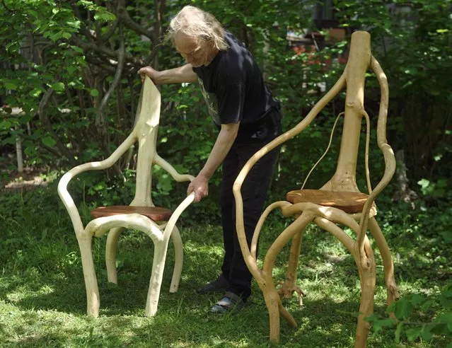 Austrian artist Bernhard Schmid places chairs which were naturally grown from trees in his garden in Lassnitzhoehe, Styria province, Austria, May 5, 2015. (Photo by Heinz-Peter Bader/Reuters)