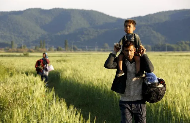 An Afghan immigrant carries his son, followed by his wife, as they walk through a field close to the Greek-Macedonian border in an attempt to flee to Macedonia from the border village of Idomeni in Kilkis prefecture May 13, 2015. (Photo by Yannis Behrakis/Reuters)