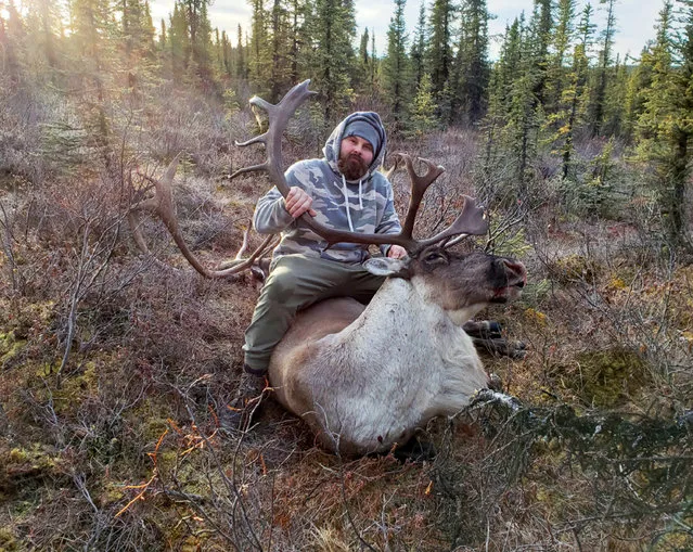 This 2018 photo provided by Aleksandr Neverov shows him with a caribou during a hunt near Glennallen, Alaska. Neverov was hunting with his friend, Viacheslav Akimenko, earlier this month in Kodiak, Alaska. Akimenko left the men's hunting camp, and Neverov found his friend's body six days later, about a mile from camp with no apparent signs the man was mauled by a bear or harmed himself. (Photo by Aleksandr Neverov via AP Photo)