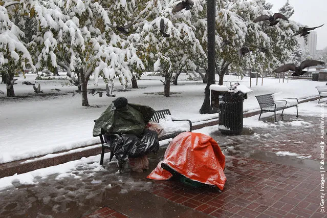 A man sits covered against the cold and snow at the Occupy Denver protest camp