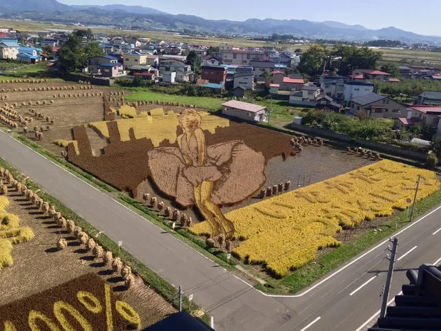 Rice Paddy Art