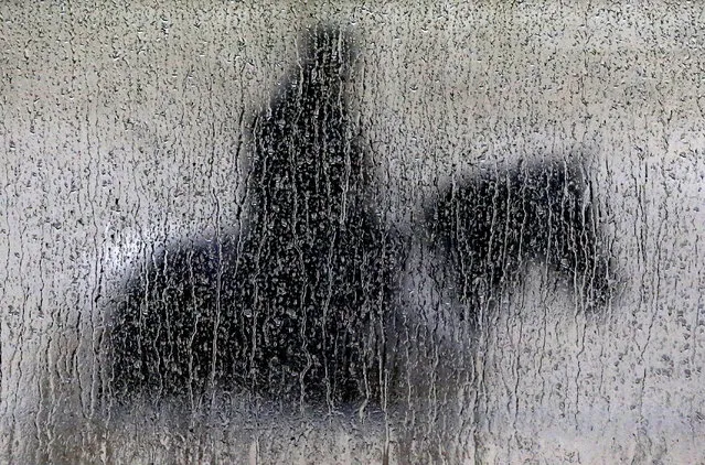 Rain runs down a pane of glass as a woman aboard a pony waits to guide a horse off the track during a workout session at Pimlico Race Course in Baltimore, Friday, May 16, 2014. The Preakness Stakes horse race is scheduled to take place on Saturday, May 17. (Photo by Patrick Semansky/AP Photo)