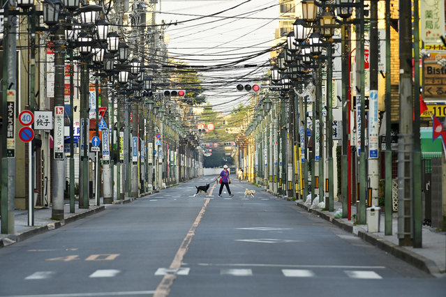 A woman walks her dogs very early in the morning on the street before the heat of the day sets in on June 14, 2024 in Tokyo, Japan. Tokyo is swept by intense heat. The Kanto region experiences the first days of summer with temperatures above 30 degrees Celsius, with the highest temperature in central Tokyo reaching over 30 degrees. (Photo by David Mareuil/Anadolu via Getty Images)