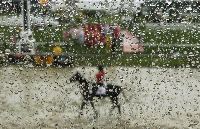 A horse moves along a muddy track after rain ahead the 141st Preakness Stakes horse race at Pimlico Race Course, Saturday, May 21, 2016, in Baltimore. (Photo by Matt Slocum/AP Photo)