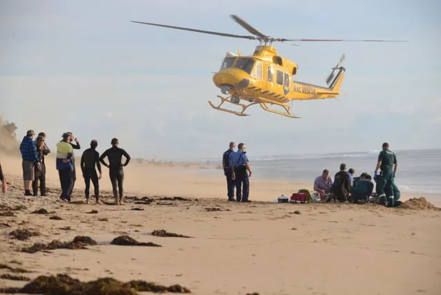A photo taken on 31 May, 2016, shows a rescue helicopter arriving to transport a critically injured surfer after a shark ripped off his leg in an attack in Australia's west with witnesses recounting how “all hell broke loose” as his board was snapped in half. The attack happened at Falcon Beach, a suburb south of Perth, not long after Surf Life Saving WA, a volunteer non-profit organisation, tweeted that a shark, believed to be a great white, had been sighted in the area. (Photo by Marta Pascual Juanola/AFP Photo)