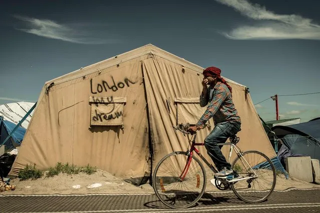 A migrant rides his bicycle inside the “Jungle” camp for migrants and refugees in Calais on June 24, 2016, the day after Britain voted to leave the EU. Eurosceptics are triumphant on June 24, 2016 after Britain voted to leave the EU and swiftly demanded referendums in their own countries, amid growing concerns Europe's hard-won unity may start to crumble away. Britons voted 52 percent to 48 percent to quit the bloc, a margin of more than one million votes, according to final results from Thursday's referendum. (Photo by Philippe Huguen/AFP Photo)