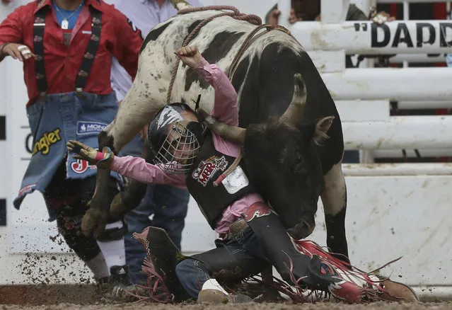 Justin Gale is thrown from his bull in the mini bull riding event during the Cheyenne Frontier Days Rodeo at Frontier Park Arena on Saturday, July 29, 2017, in Cheyenne, Wyo. (Photo by Blaine McCartney/Wyoming Tribune Eagle via AP Photo)