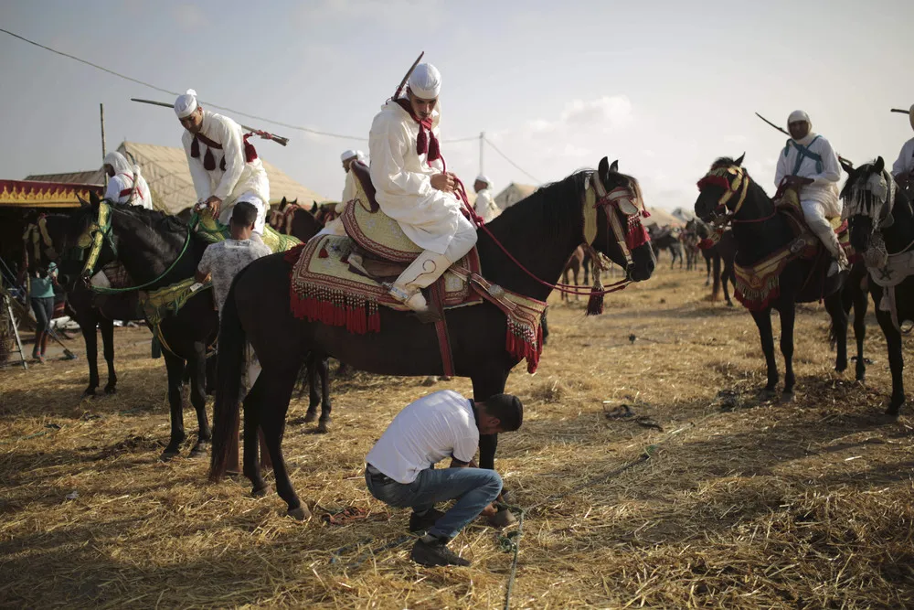 Ancient Tradition of Horsemanship in Morocco