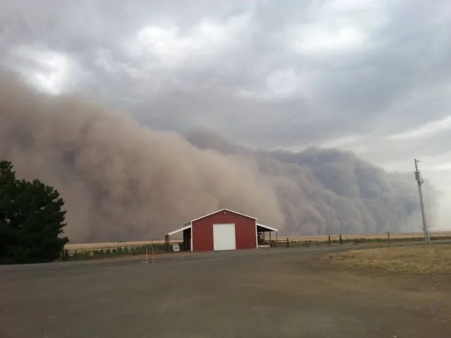 A massive, dramatic dust storm moves toward a barn near Harrington Wash., Tuesday August 12, 2014. More often associated with the Southwest the dust storm blew through Eastern Washington and north Idaho on Tuesday evening in advance of thunderstorms, lightning and rain. (Photo by Lacey Hirst/AP Photo)