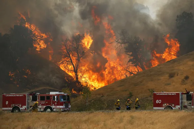 A hillside erupts in flame as a wildfire burns in Placerita Canyon in Santa Clarita, Calif., Monday, July 25, 2016. A raging wildfire that forced thousands from their homes on the edge of Los Angeles continued to burn out of control Monday as frustrated fire officials said residents reluctant to heed evacuation orders made conditions more dangerous and destructive for their neighbors. (Photo by Nick Ut/AP Photo)