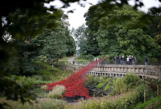 Visitors look at a poppies installation titled “Wave” by Paul Cummins at Yorkshire Sculpture Park near Wakefield, Britain September 3, 2015. The Wave poppies installation was originally part of “Blood Swept Lands and Seas” which was created to mark the centenary of the First World War and was sited at the Tower of London in 2014. (Photo by Darren Staples/Reuters)