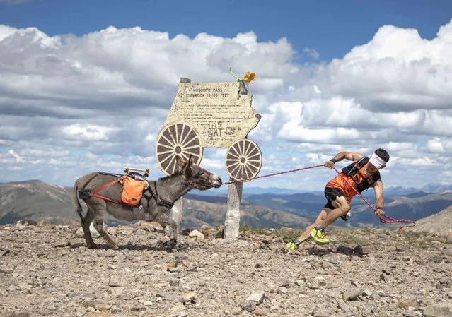 Racer Marvin Sandoval of Leadville, Colo., struggles with his burro, Buttercup, as they pass the sign on the top of Mosquito Pass as the pair follow the route of the Leadville Burro Race Sunday, August 7, 2022, near Leadville, Colo. (Photo byHugh Carey/The Colorado Sun via AP Photo)