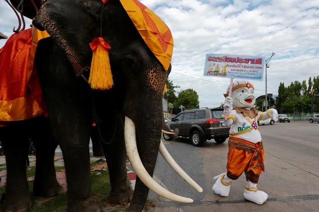 A Thailand Election Commission's mascot holds a poster beside an elephant during a campaign ahead of the August 7 referendum in Auytthaya province, north of Bangkok, Thailand, August 1, 2016. (Photo by Chaiwat Subprasom/Reuters)