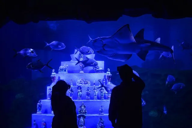 Visitors watch waterproof Golu dolls displayed underwater inside a large fish tank as part of the celebrations during the Navratri festival, at the VGP Marine Kingdom in Chennai, India, 27 September 2022. Golu is the festive display of dolls and figurines in South India observed during the Navratri festival. The nine days long Navratri festival starts on 26 September 2022 and concludes on 05 October 2022. Hindus over the world will celebrate the Navratri or Durga Puja festival, which represents female power and the victory of good over evil. (Photo by Idrees Mohammed/EPA/EFE/Rex Features/Shutterstock)