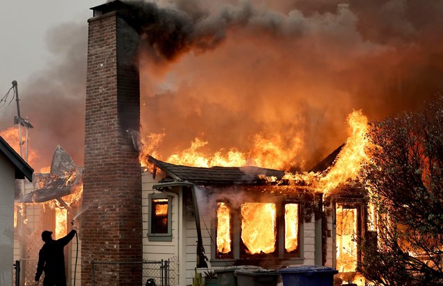 A person uses a garden hose in an effort to save a neighboring home from catching fire during the Eaton Fire on January 8, 2025 in Altadena, California. Over 1,000 structures have burned, with two people dead, in wildfires fueled by intense Santa Ana Winds across L.A. County. (Photo by Mario Tama/Getty Images)