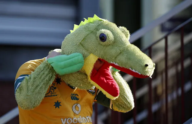 Rugby Union, Australia vs Uruguay, IRB Rugby World Cup 2015 Pool A, Villa Park, Birmingham, England on September 27, 2015: Australia fan in fancy dress outside the ground before the game. (Photo by Andrew Boyers/Reuters/Action Images)