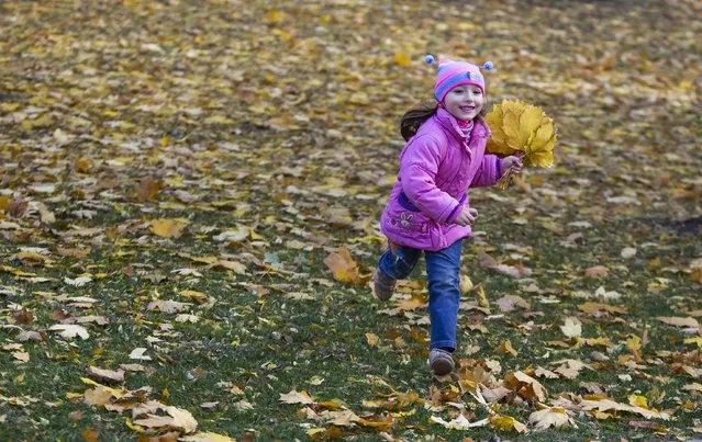 A girl runs with collected autumn leaves at a park in Donetsk, eastern Ukraine, October 17, 2014. (Photo by Shamil Zhumatov/Reuters)