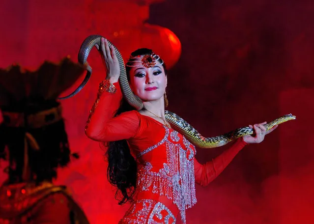 This picture taken on February 6, 2013 shows an actress performing with a snake to celebrate the coming lunar new year of China in Hetian, northwest China's Xinjiang Uygur Autonomous Region.   The lunar new year, or spring festival, falls on February 10. (Photo by China Press/AFP Photo)