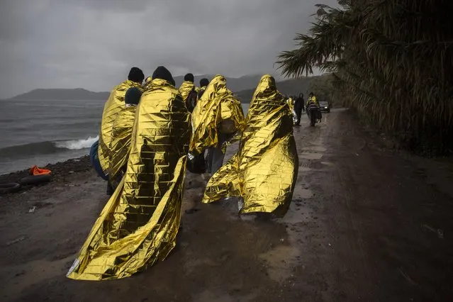 Refugees and migrants are covered with thermal blankets after their arrival on a dinghy from the Turkish coast to the Skala Sykaminias village on the northeastern Greek island of Lesbos, Friday, October 23, 2015. The International Office for Migration says Greece over the last week experienced the largest single weekly influx of migrants and refugees this year, at an average of some 9,600 per day. (Photo by Santi Palacios/AP Photo)