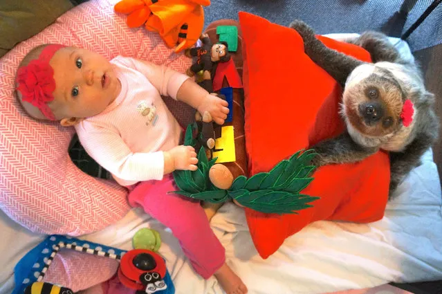 These are the adorable images of a baby who has formed a special bond with a sloth. Baby Alia, first met Daisy the sloth when was she was just two days old and the pair have been inseparable ever since. Daisy is almost like a real-life teddy bear for five-month-old Alia and the pair love to play and take naps together. (Photo by Caters News)