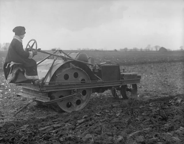A woman driving a steam plough at Cambridge University Farm in WWI, 8th March 1917. (Photo by Topical Press Agency/Getty Images)
