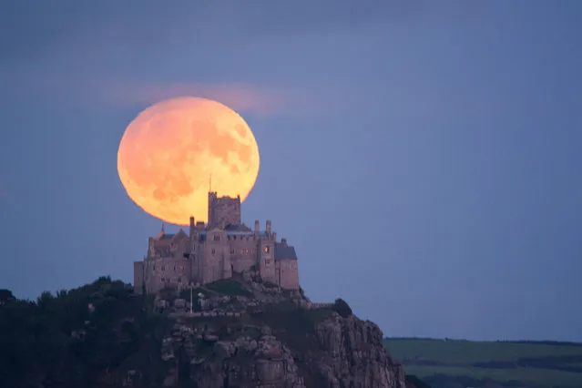 The Harvest moon rises behind St Michaels Mount in Cornwall, UK on 16th September 2016. (Photo by Simon Maycock/Alamy Live News)
