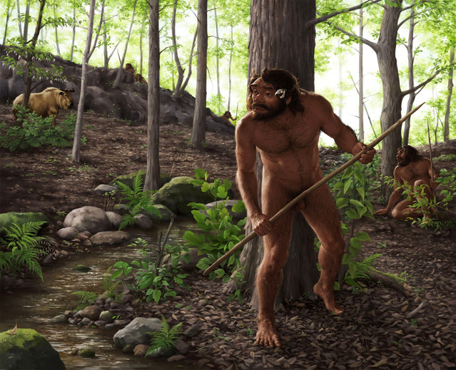 This artist's impression shows a group of archaic humans hunting in a forest roughly 1 million years ago in China's Hubei Province. The head of the adult male individual holding a wooden spear in the foreground is based on the digital reconstruction of a fossilized archaic skull, called Yunxian 2, unearthed in 1990, in this image released on September 25, 2025. (Photo by Jiannan Bai and Xijun Ni/Handout via Reuters)