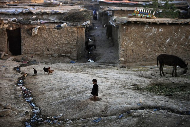 An Afghan refugee boy, center, watches chickens feeding in a neighborhood on the outskirts of Islamabad, on March 21, 2013. (Photo by Muhammed Muheisen/AP Photo)