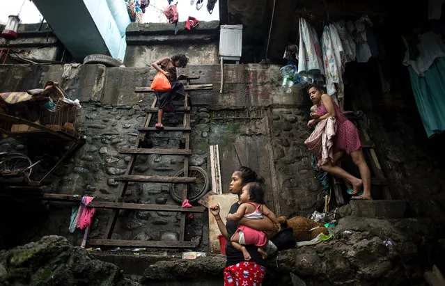 A woman climbs down a ladder, where people live under a bridge in Manila on October 16, 2016. (Photo by Noel Celis/AFP Photo)