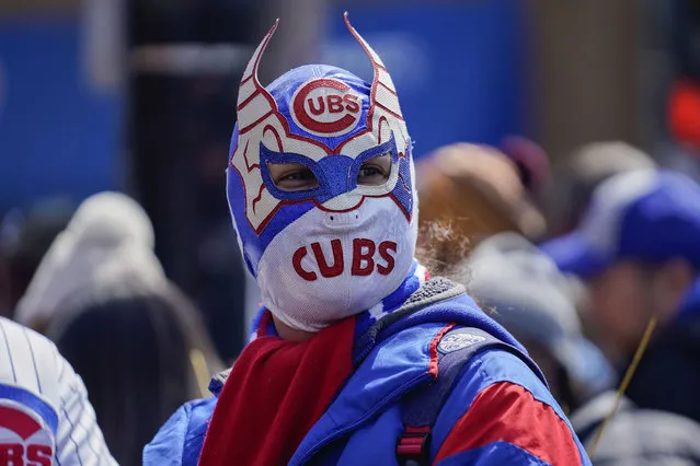 A fans wears a Cubs-themed lucha libre mask outside Wrigley Field before the opening day baseball game between the Chicago Cubs and Milwaukee Brewers, Thursday, March 30, 2023, in Chicago. (Photo by Erin Hooley/AP Photo)