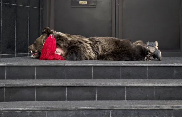 A child from from Dofteana, northern Romania wearing a bear fur, lies on an office building's steps while taking a break from performing a holiday season ritual in Bucharest, Romania, Tuesday, December 23, 2014. (Photo by Vadim Ghirda/AP Photo)