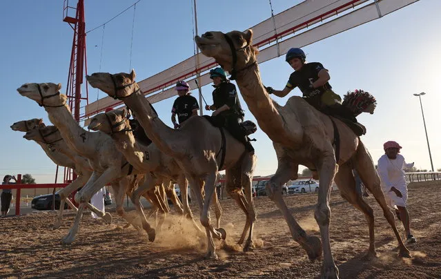 Participants compete in the final race of the Female Camel Racing Series C1 Championship season 2022-2023 at the Al Marmoom Camel Racing Track, in the Gulf emirate of Dubai, United Arab Emirate, 18 March 2023. The female race is hosted by the Arabian Desert Camel Riding Centre (ADCRC) school, founded by the German Linda Krockenberger. (Photo by Ali Haider/EPA)