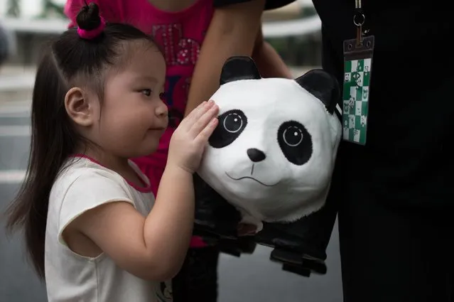 A girl touches a papier-mache pandas before it is displayed at the National Monument in Kuala Lumpur on January 9, 2015. The event, consisting of placing 1,600 papier-mache pandas in various cities around the world, was created by French artist Paulo Grangeon in collaboration with the WWF and is aimed at raising awareness of the endangered species. (Photo by Mohd Rasfan/AFP Photo)