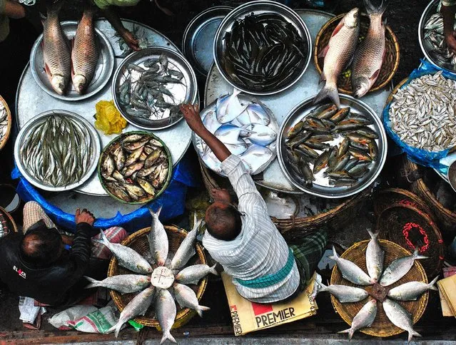 Food For Sale – Selling Fish. Naya Bazaar is one of the oldest weekly fish markets in Dhaka, Bangladesh. “We can see rare and expensive species of fish here that cannot usually be seen in other markets”. (Photo by Md Mahabub Hossain Khan/Pink Lady Food Awards 2023)