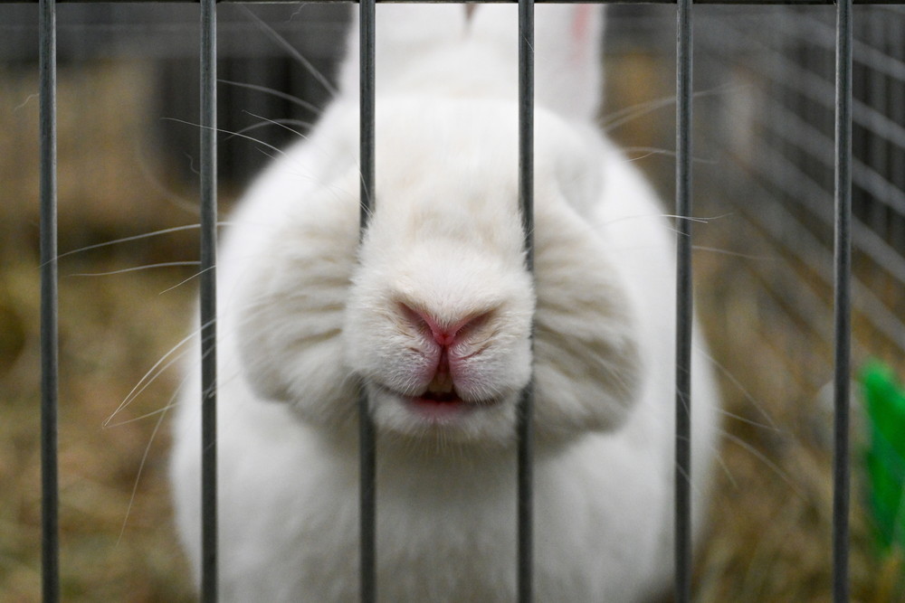 Pictures of the Year 2024, Part 206/2406