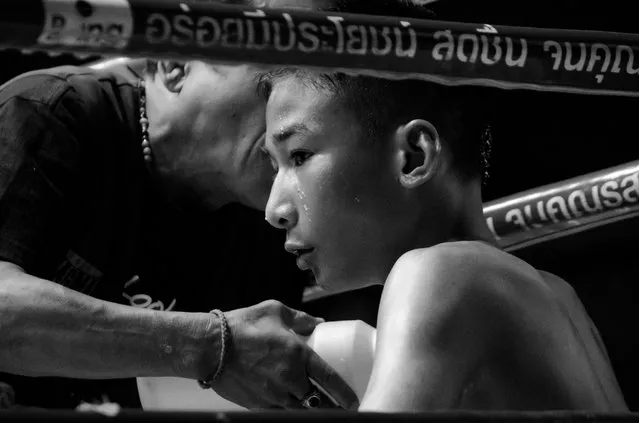 “Muay Thai Fighter”. I attended a Muay Thi Fight while traveling through Bangkok. The first round was of two boys that looked like they were no older than 15. They were ferocious and I couldn't believe how intense the fighting was. This is a picture of one of the fighters towards the end of the fight when he looks to be exhausted from all the blows he's taken. (Photo and caption by James Keefe/National Geographic Traveler Photo Contest)